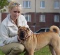 Аватара пользователя