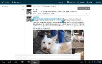 Баба Нюша в заложниках для сбора денег? - image.jpg