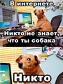 Аватара пользователя
