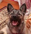 Аватара пользователя