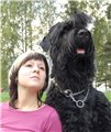 Аватара пользователя