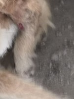 image.jpg